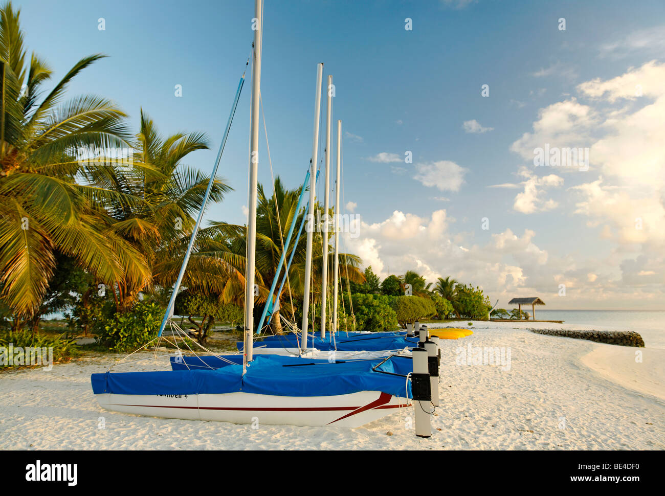 Hobby Car, catamarans, sail boats, side by side, on the beach, palm trees, Maldive island, South Male Atoll, Maldives, Achipela Stock Photo