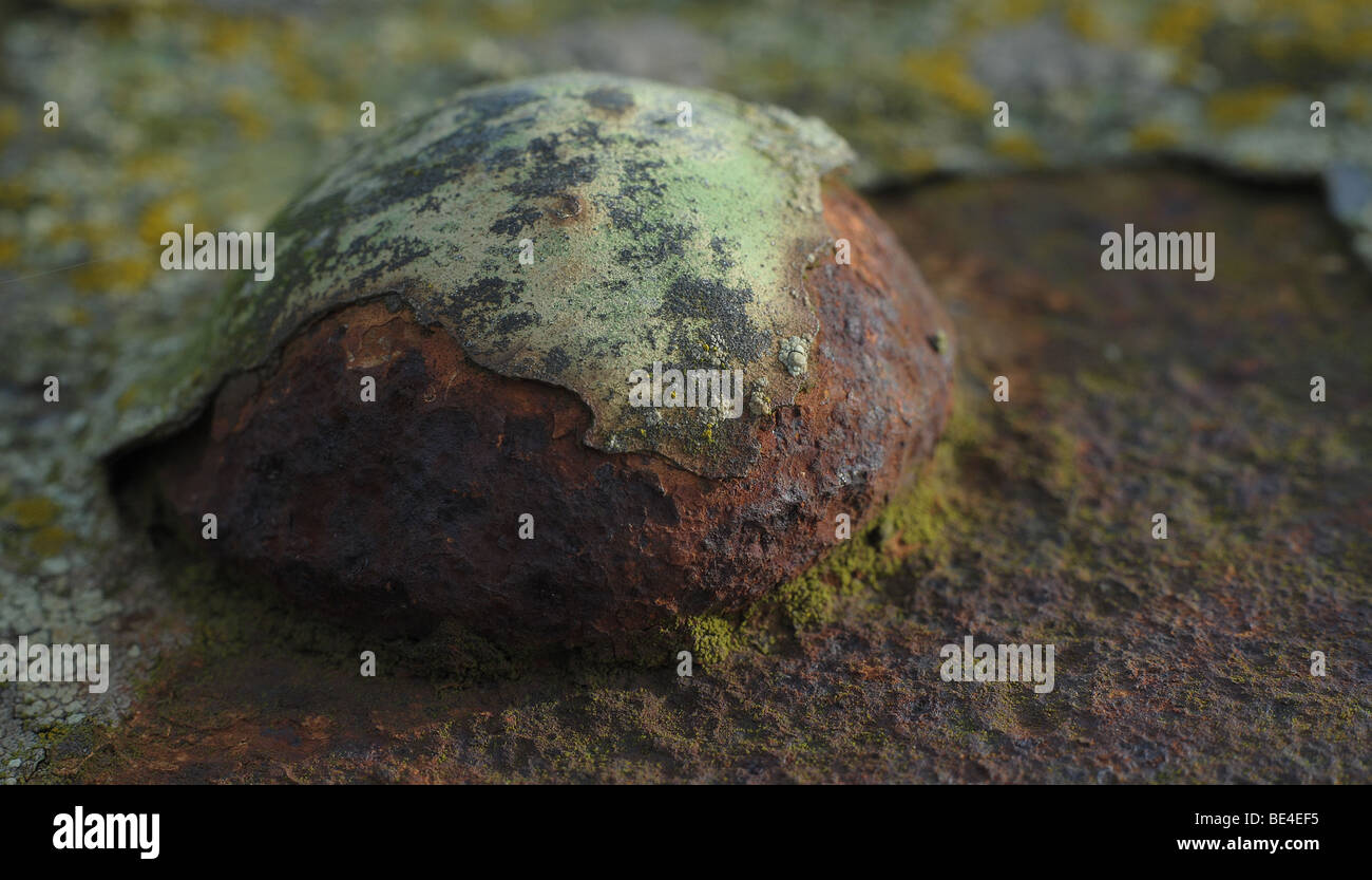 A Rivet on an Iron Bridge decays as rust and Lichen encase and encrust it, which will eventually mean it has to be replaced. Stock Photo