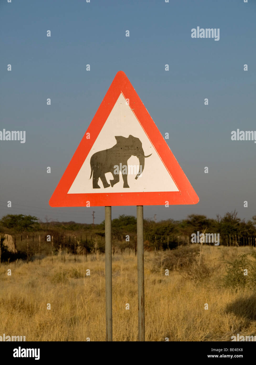 Road sign, warning of elephants, Namibia, Africa Stock Photo