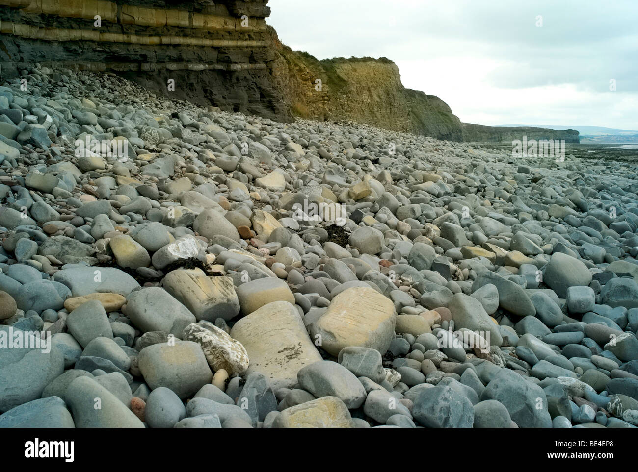 Fossil hunting beaches near East Quantoxhead on Bridgwater Bay in