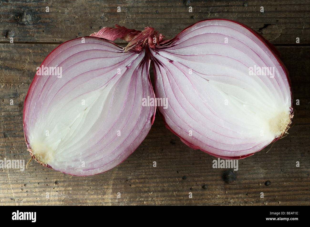 Red Onion (Allium cepa) Stock Photo
