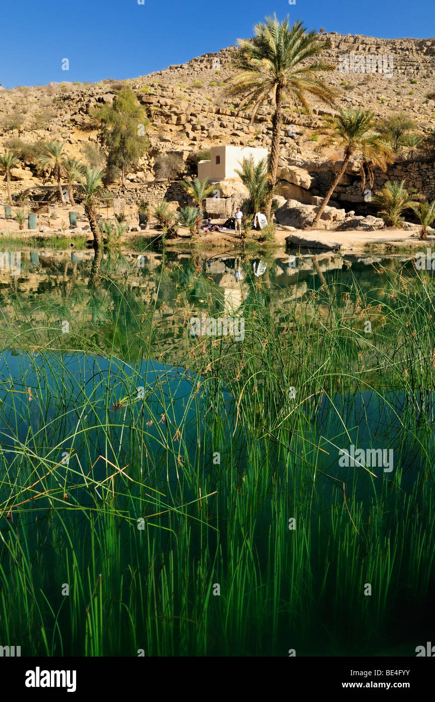 Water pool in a rocky canyon, Wadi Bani Khalid, Sharqiya Region, Sultanate of Oman, Arabia, Middle East Stock Photo