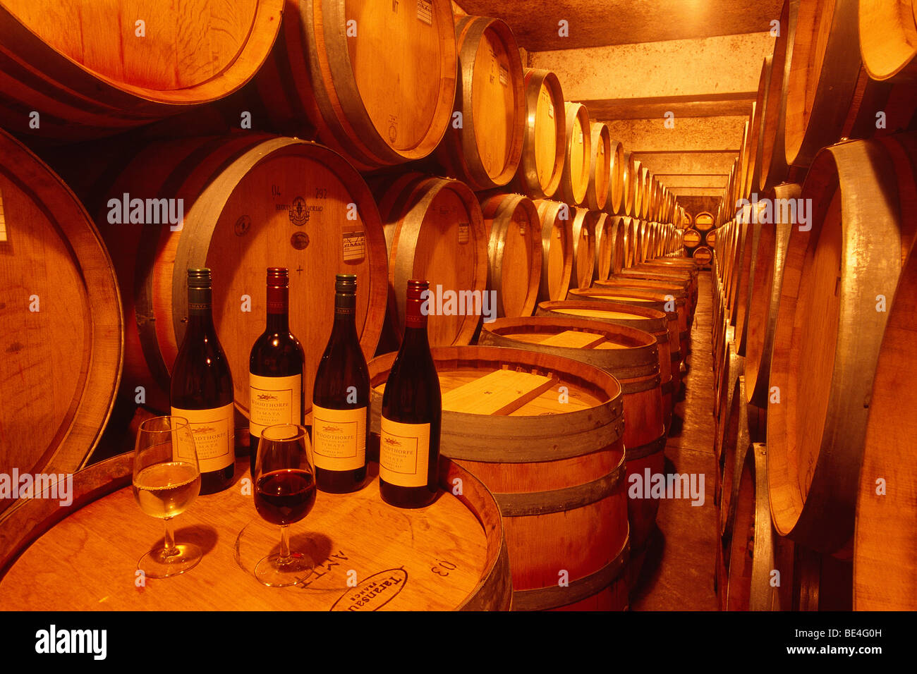 New Zealand - North Island - Manawatu - around Hastings - wine cellar Stock Photo