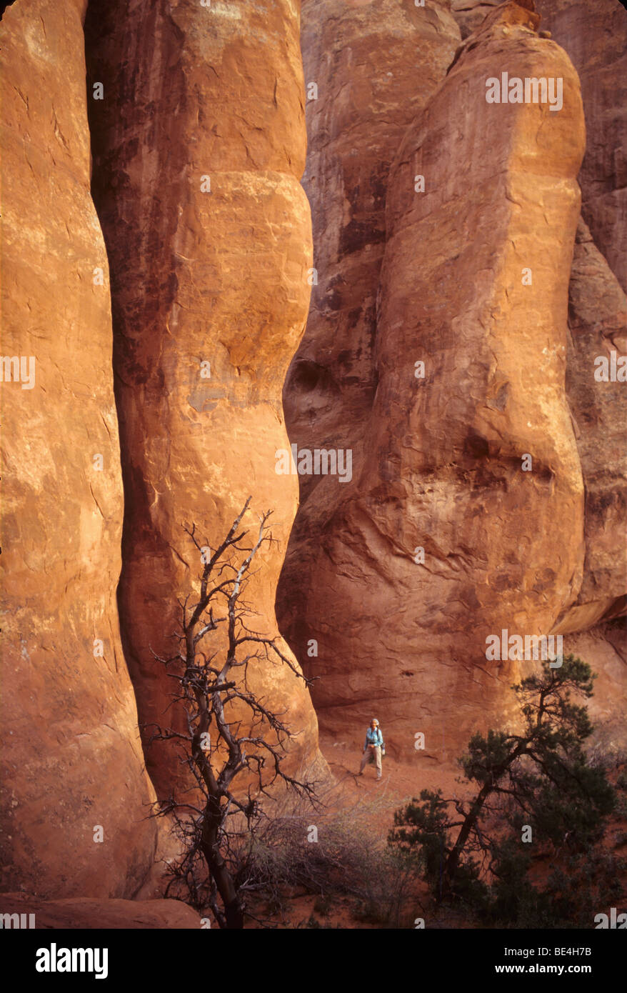 Arches National Park with single person, Utah, USA, North America Stock Photo