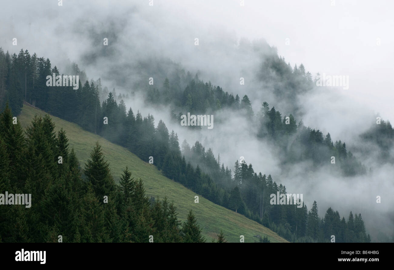 Foggy slope hi-res stock photography and images - Alamy