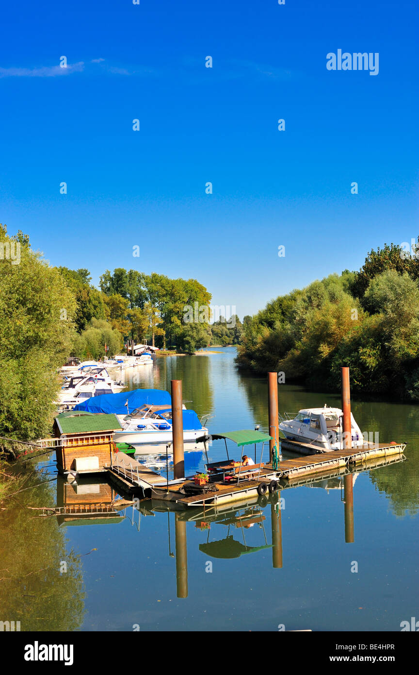 Arm of the river Rhein Lautermuschel with harbor, Neuburg am Rhein, Palatinate, Rhineland-Palatinate, Germany, Europe Stock Photo