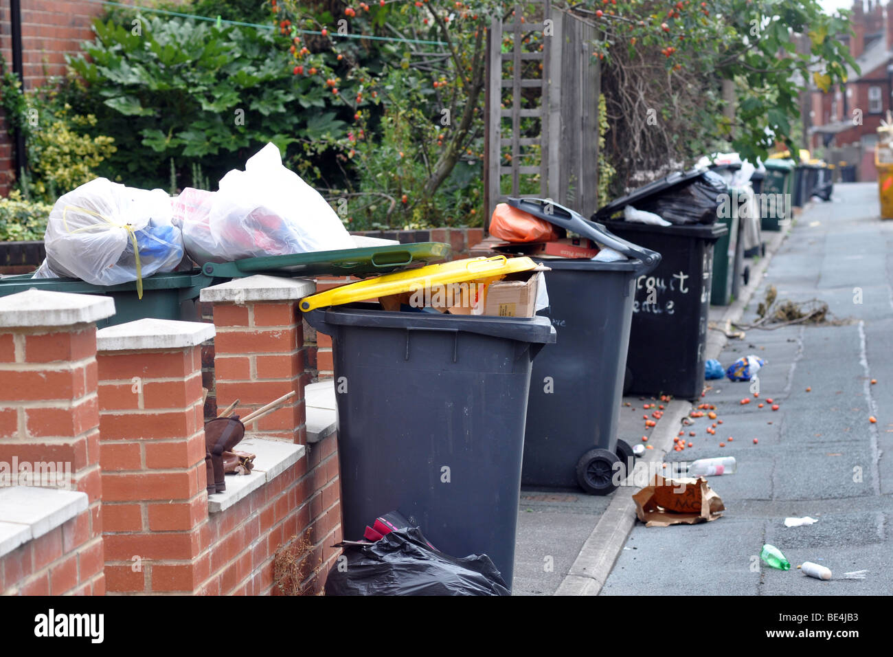 Leeds Bin Strike, Rubbish piles up in bins and on the streets of Leeds