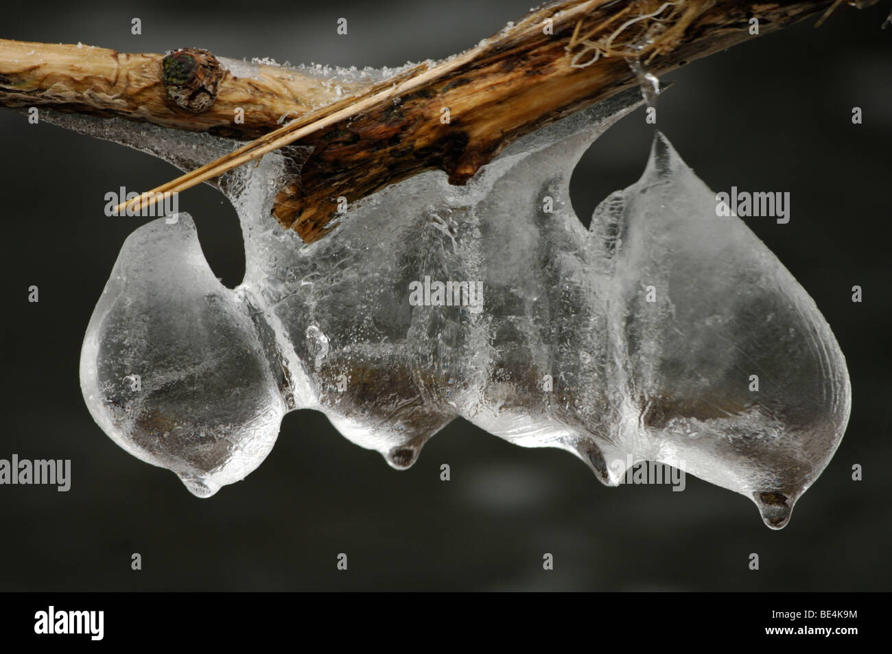 Ice, icicles Stock Photo