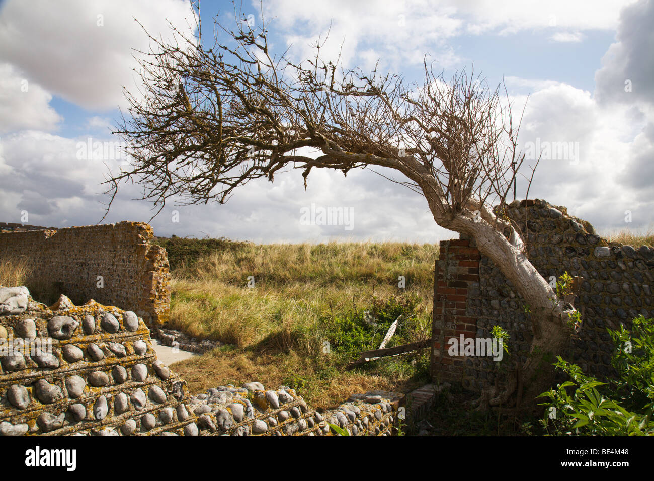 Old flint walls that formed part of the "Village of Tide Mills", Sussex