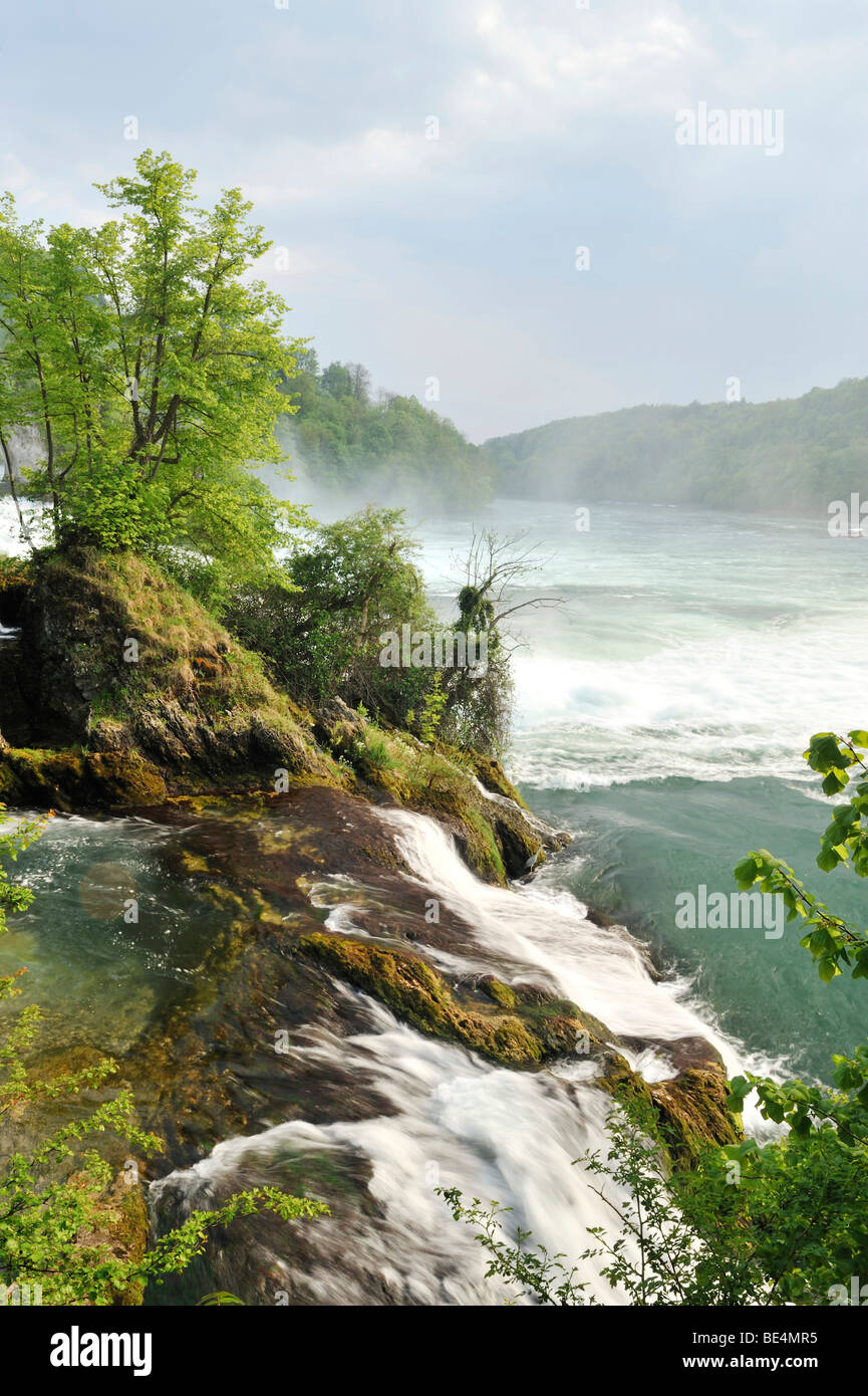 Spring mood at the Rhine Falls near Neuhausen, Schaffhausen, Switzerland, Europe Stock Photo