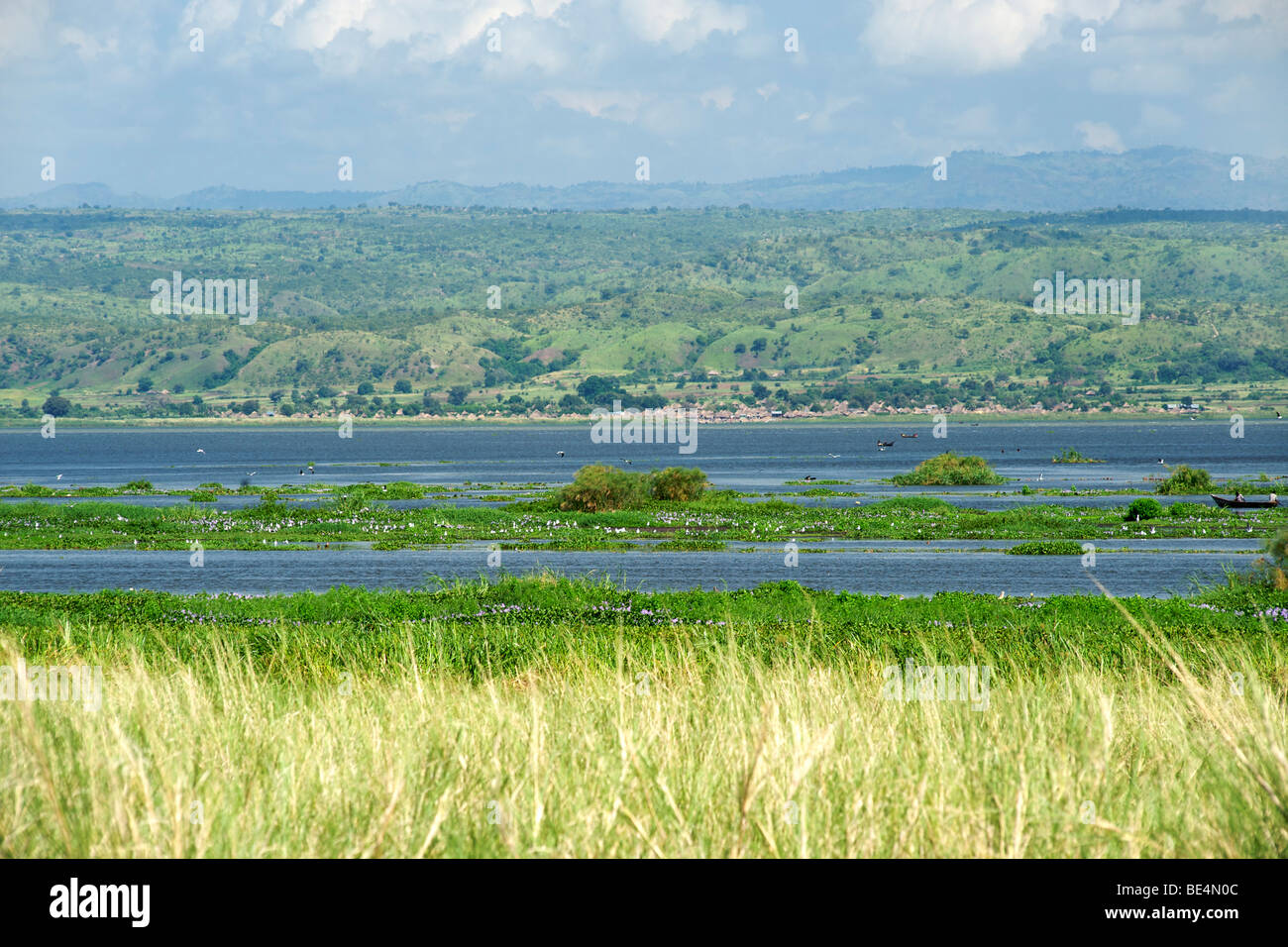 View of the Albert Nile River from the delta in Murchison Falls National Park in Uganda. Stock Photo
