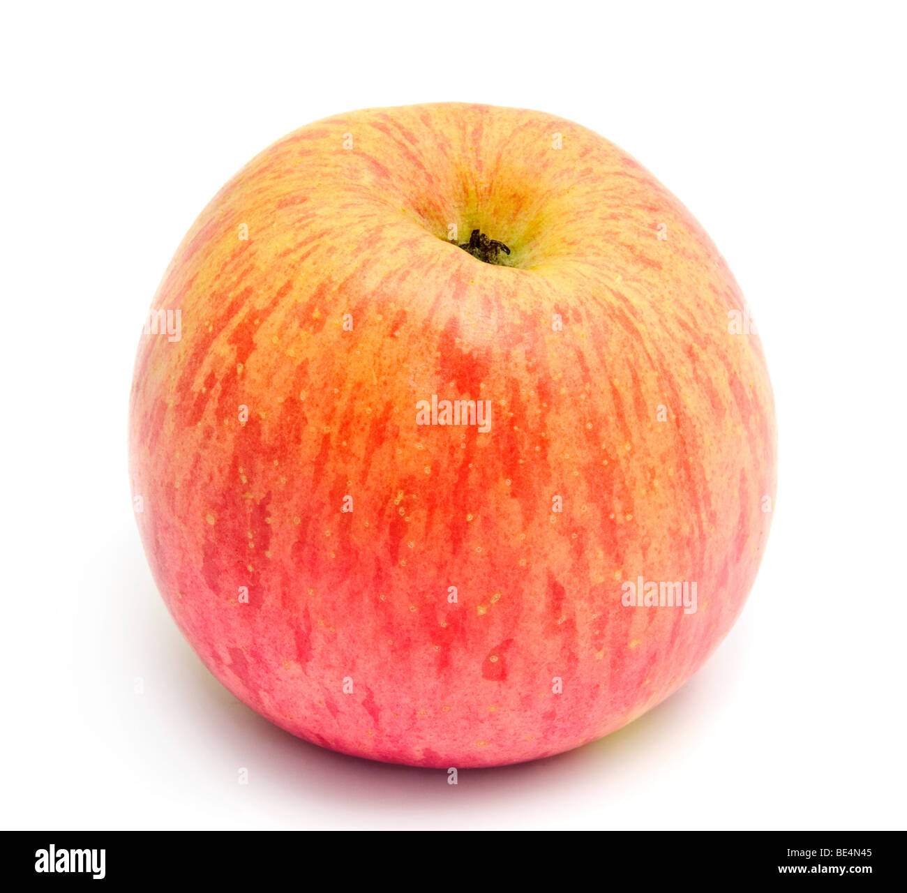 Japan Fuji apple. Perfect fruit for dessert. Isolated on white