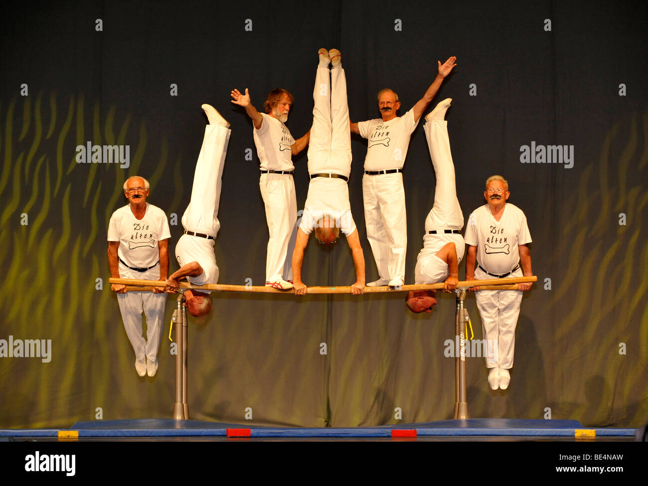Show Matinee of the Best, Internationales Deutsches Turnfest, International German Gymnastics Festival 2009, festival hall, Fra Stock Photo