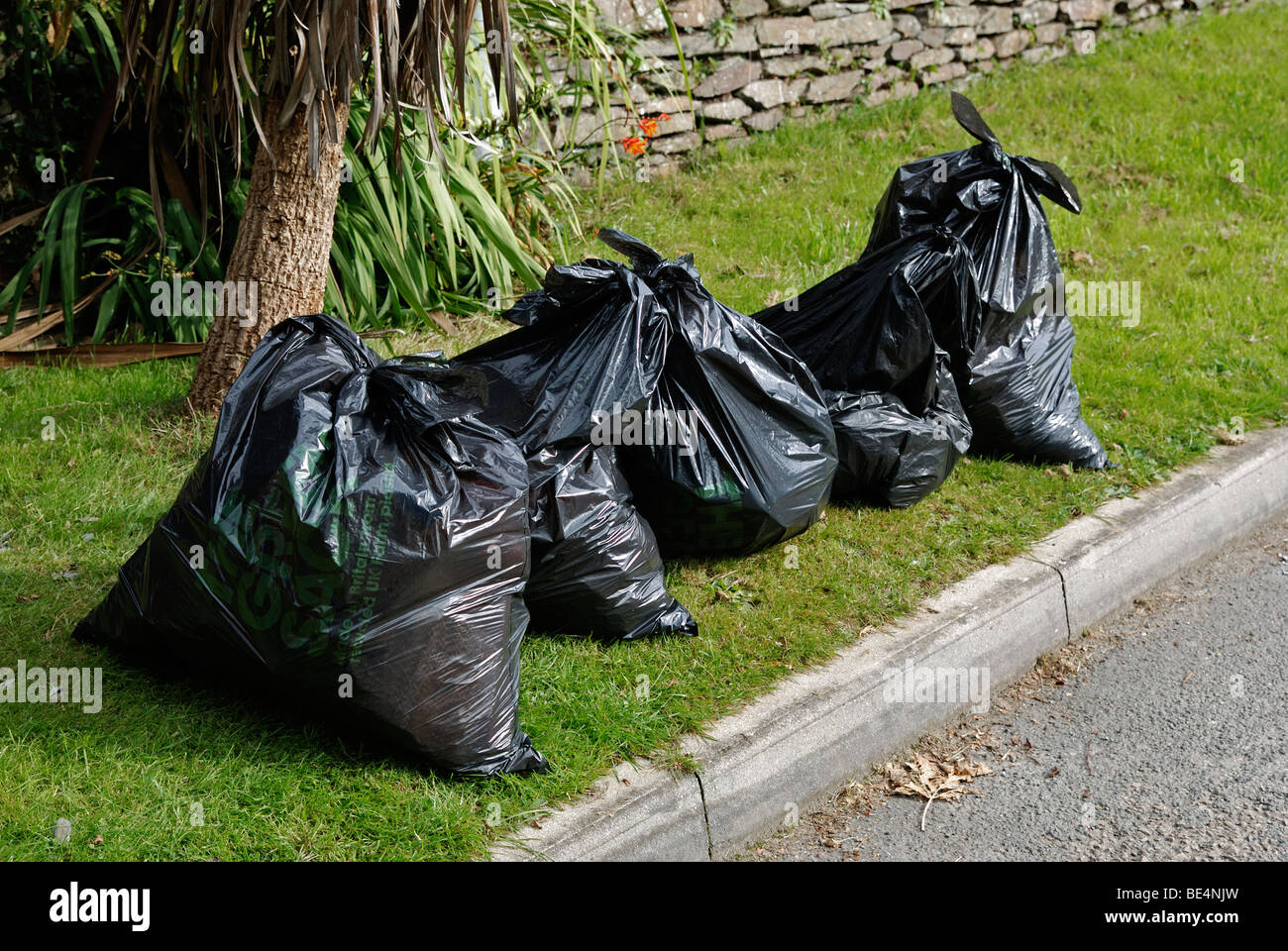 black plastic bin bags on the roadside waiting to be collected by the refuse service in cornwall, uk Stock Photo