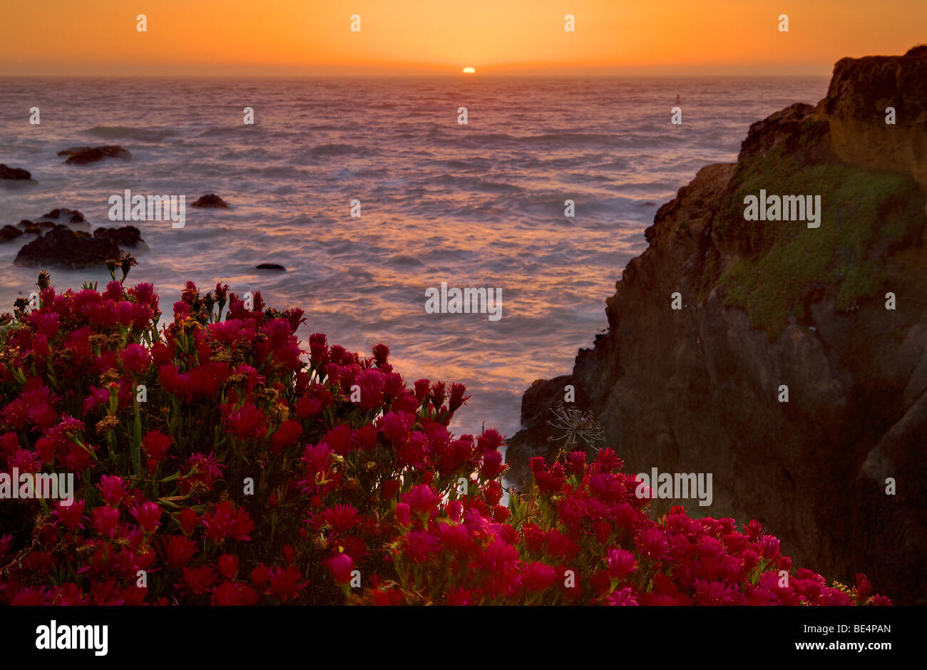 Mendocino Coast, California, USA Stock Photo