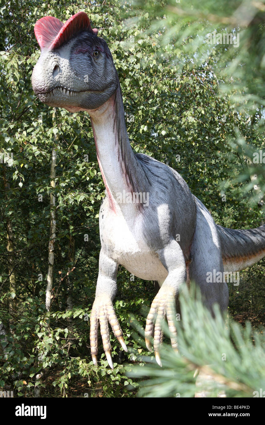 Dilophosaurus Size