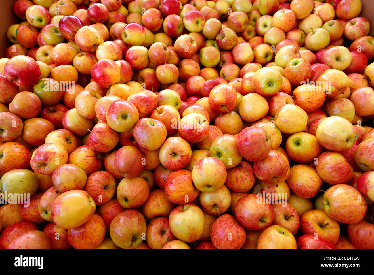 Fruit fruits market hires stock photography and images Alamy