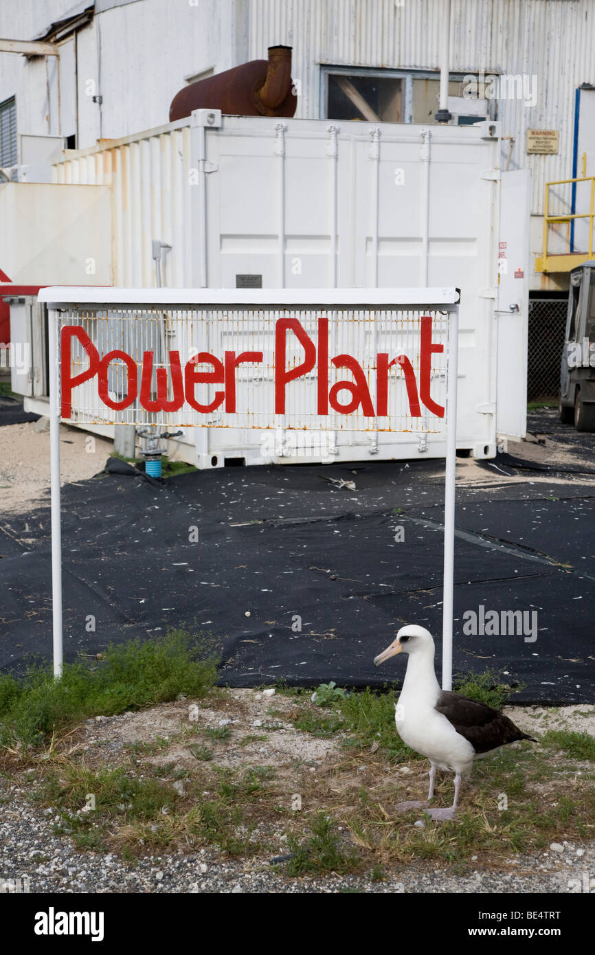 Power plant and Laysan Albatross, Midway Atoll Stock Photo