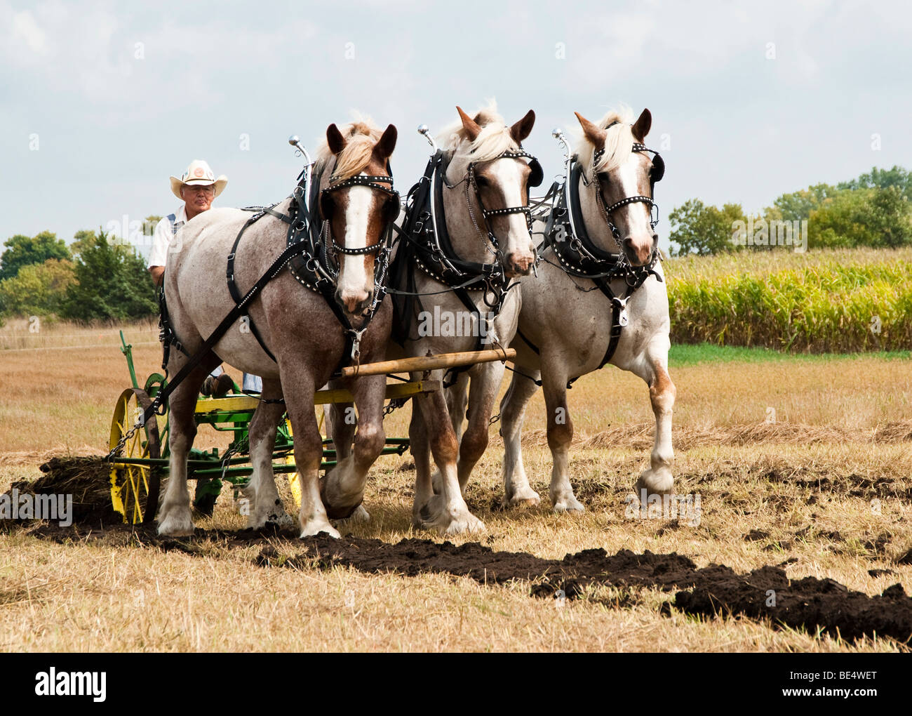 horsedrawn farming demonstrations during the Homesteader Day Harvest