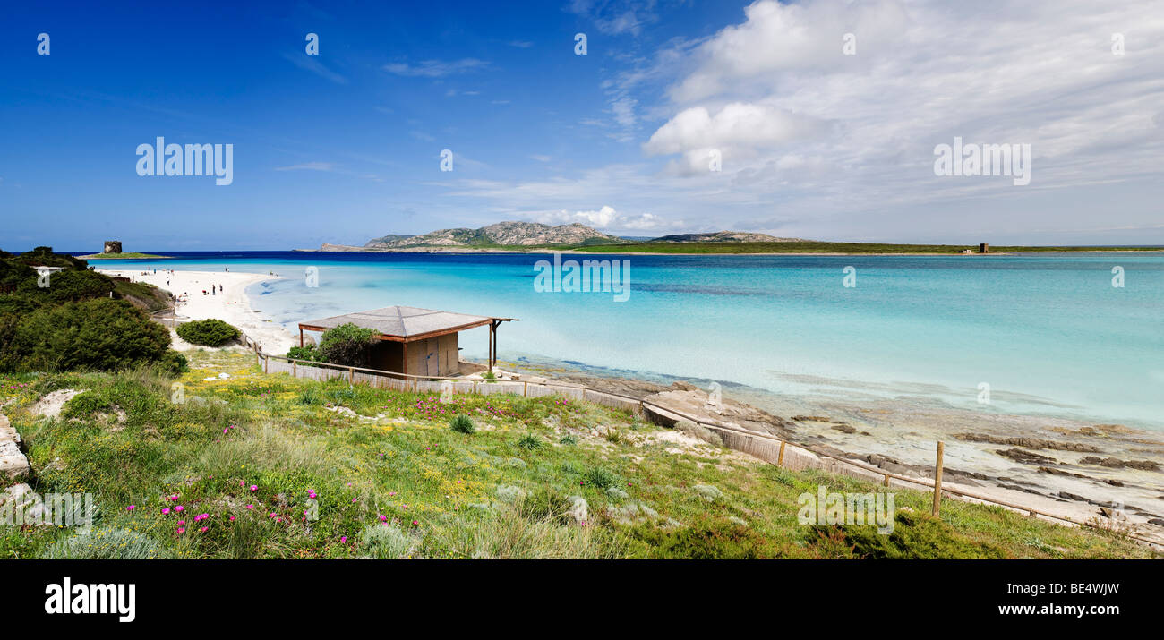 Stintino, beach, Sardinia, Italy, Europe Stock Photo