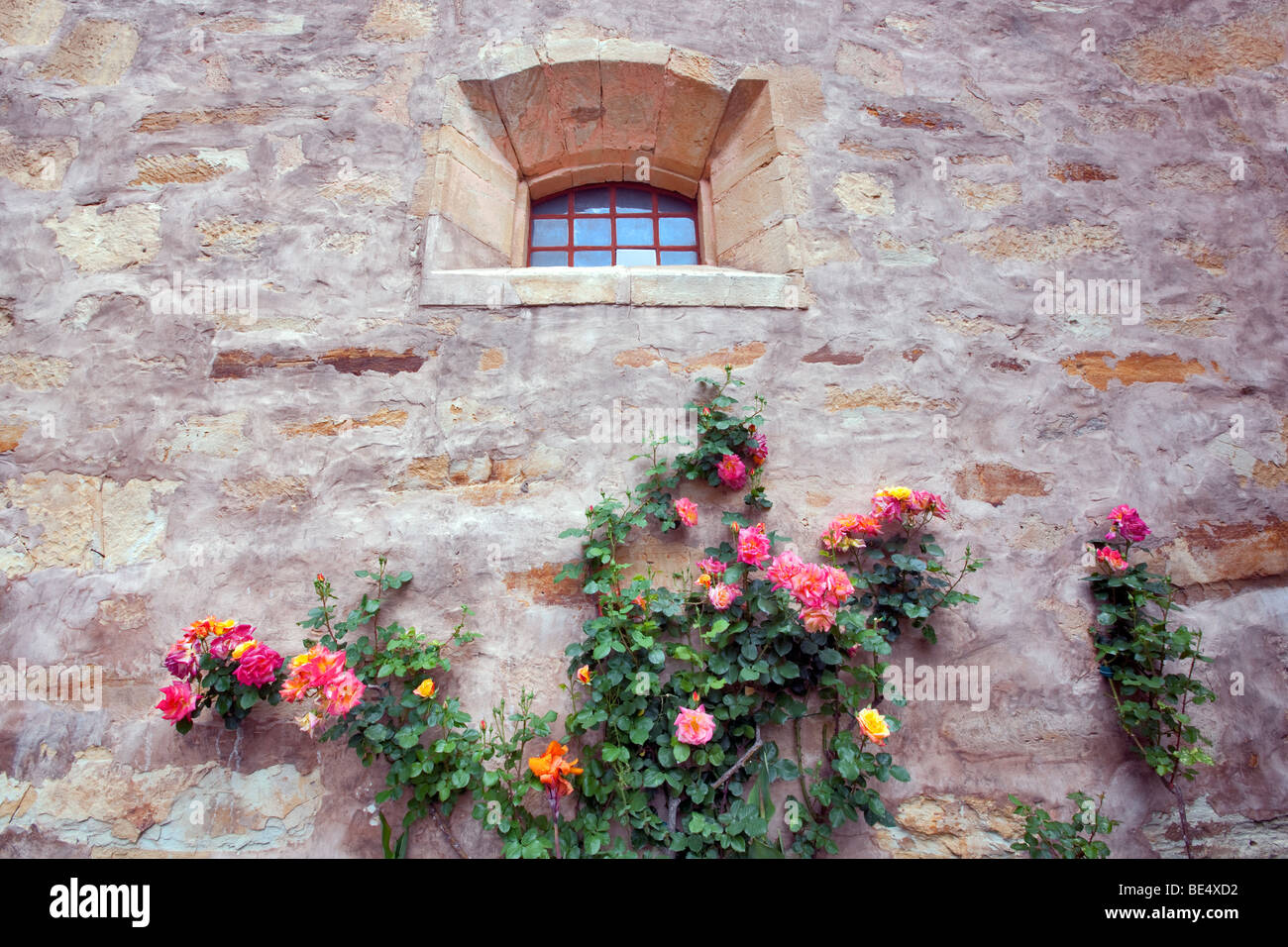 Gardens with roses at the Carmel Mission. Carmel by the Sea, California. Stock Photo