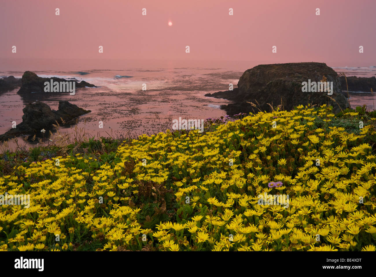 Mendocino Coast, California, USA Stock Photo - Alamy