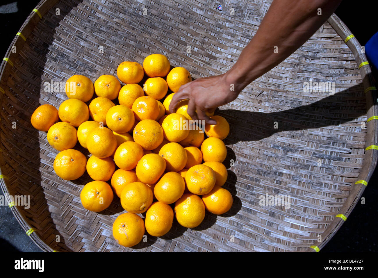 A bunch of oranges Stock Photo Alamy