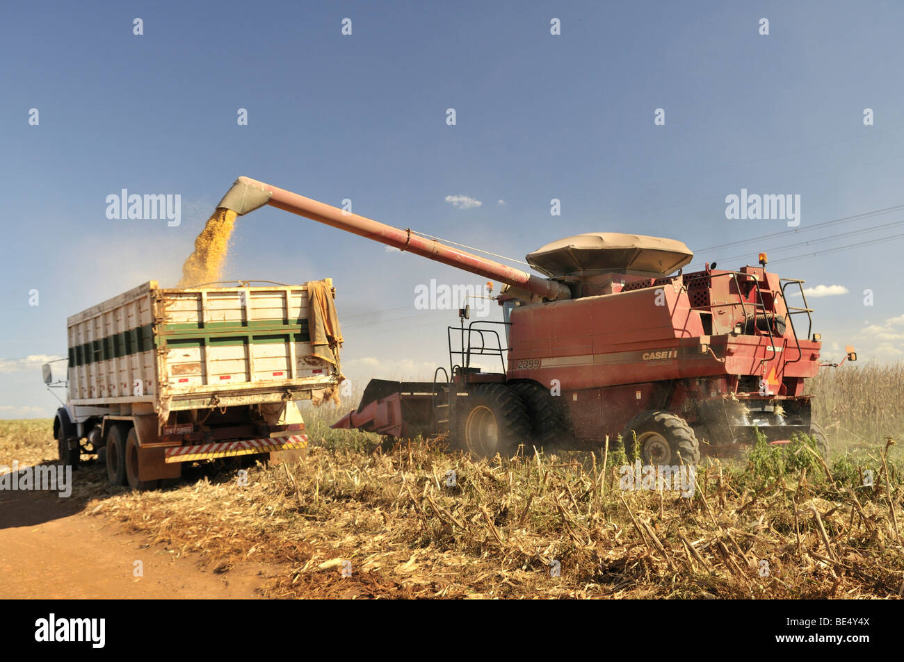 Combine harvester during the corn harvest, Uberlandia, Minas Gerais, Brazil, South America Stock Photo