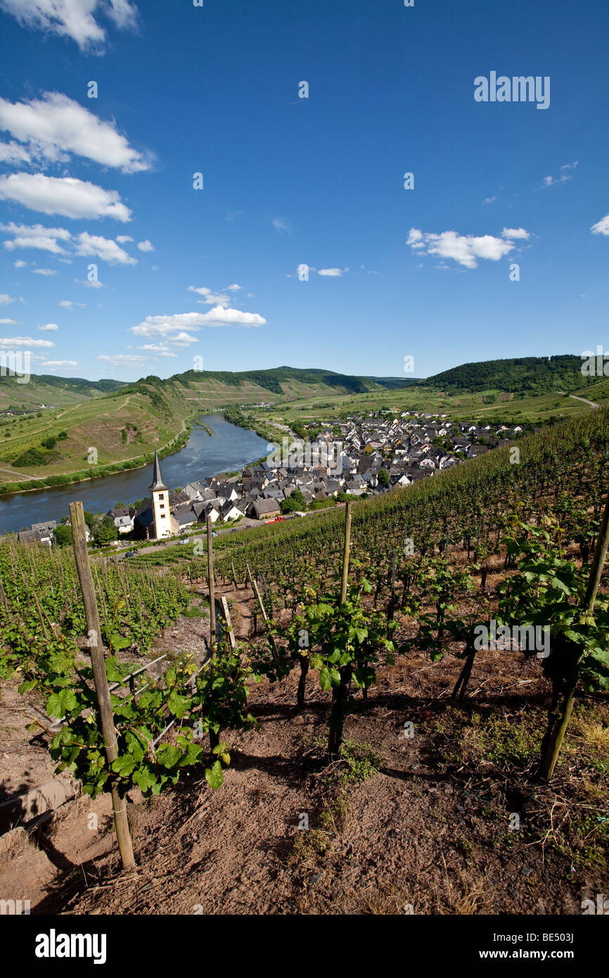 View on to the Moselle River loop near the town of Bremm, district of Cochem-Zell, Moselle, Rhineland-Palatinate, Germany, Euro Stock Photo