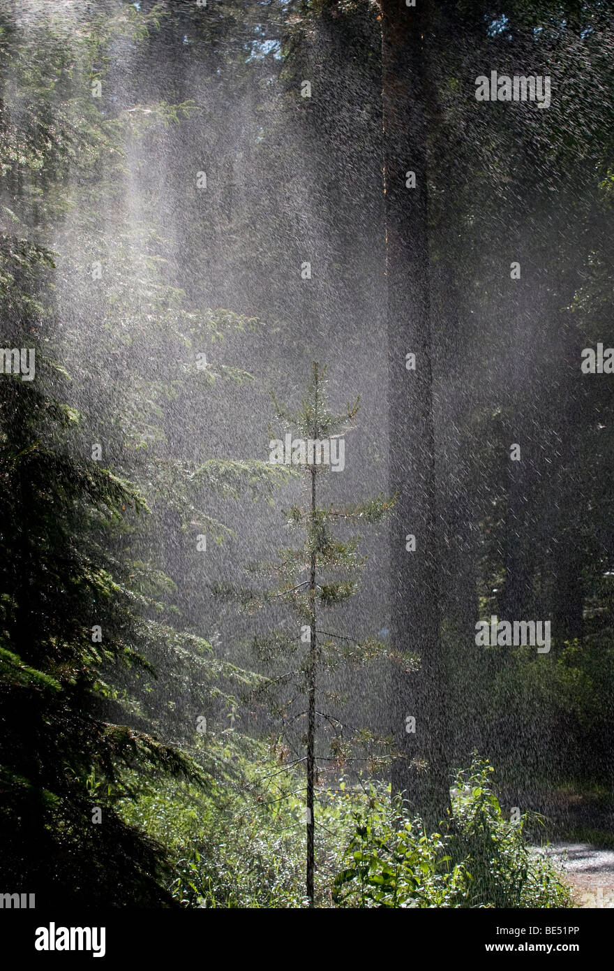 Showering in the rain hires stock photography and images Alamy