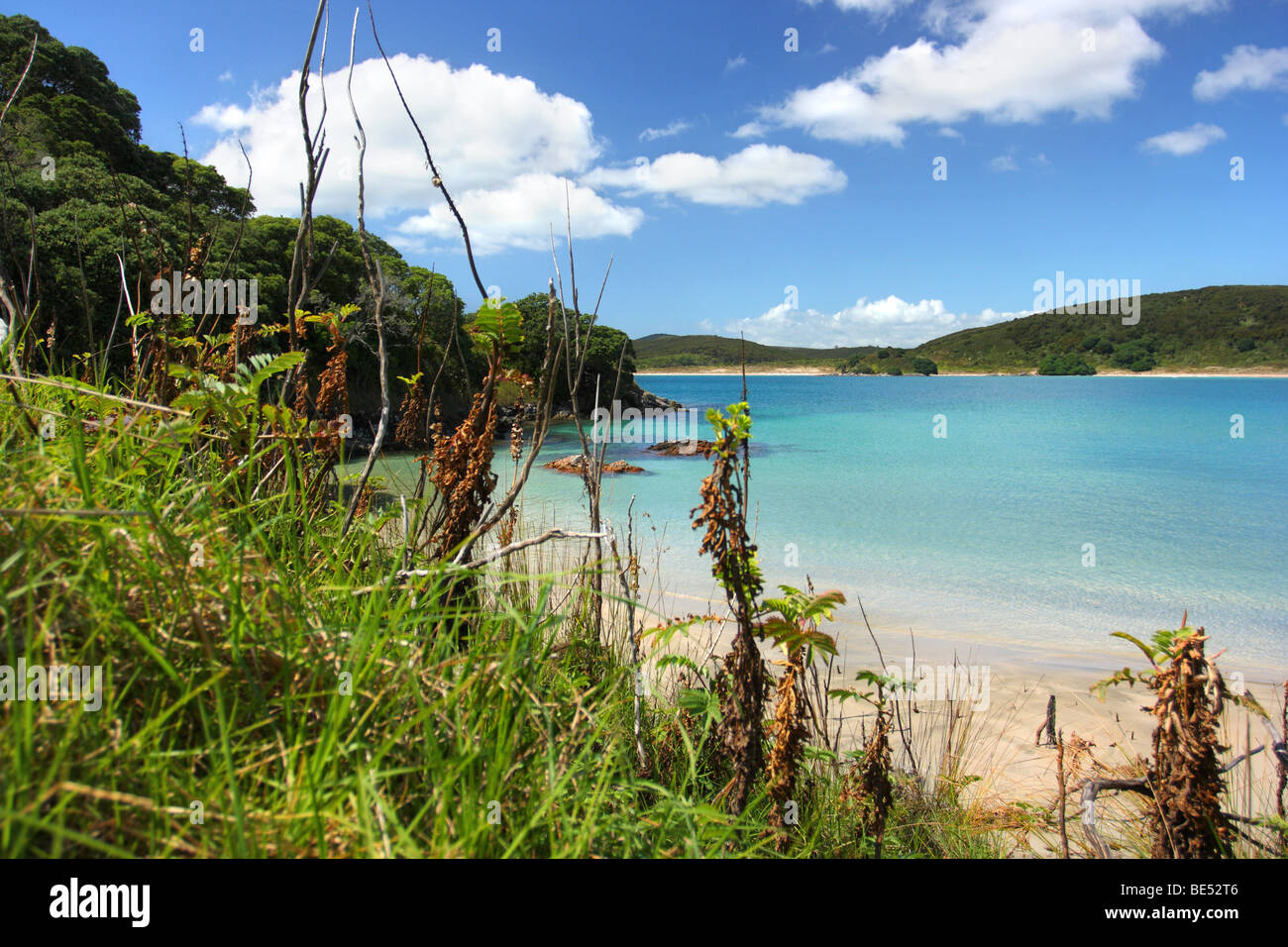 [new Zealand beach] Idyllic Maitai Bay, Karikari Peninsula. North Island, New Zealand Stock Photo