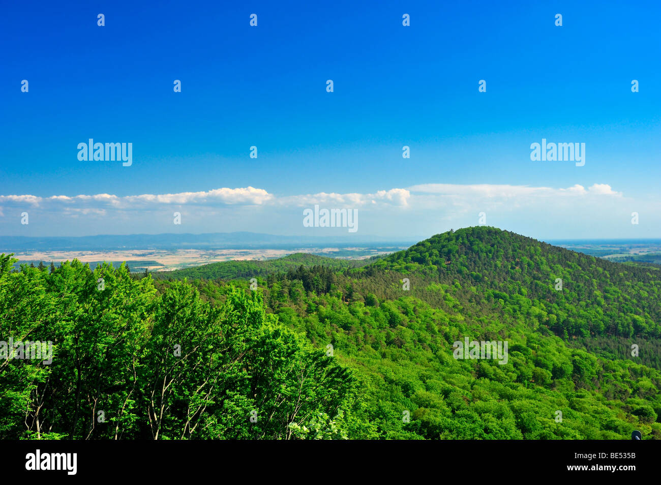 Guttenberg castle ruins, panoramic view to the Palatinate Forest and the Rhine Valley, Oberotterbach, Naturpark Pfaelzerwald na Stock Photo