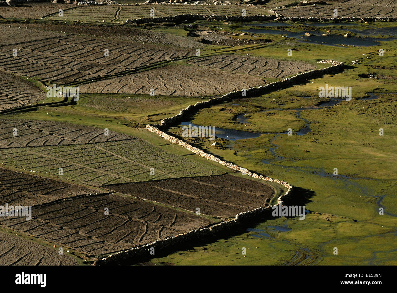 Tibetan agricultural fields, with traditional irrigation system and a