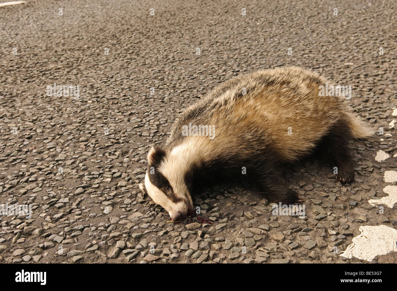 Death roads ireland hires stock photography and images Alamy