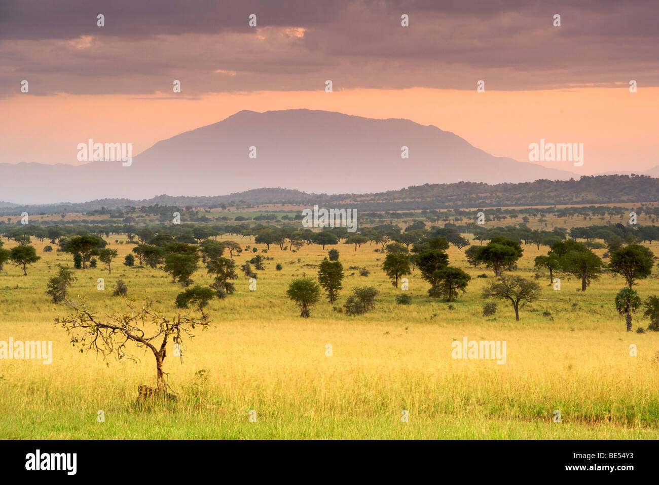 Dawn in Kidepo Valley National Park in northern Uganda. Stock Photo