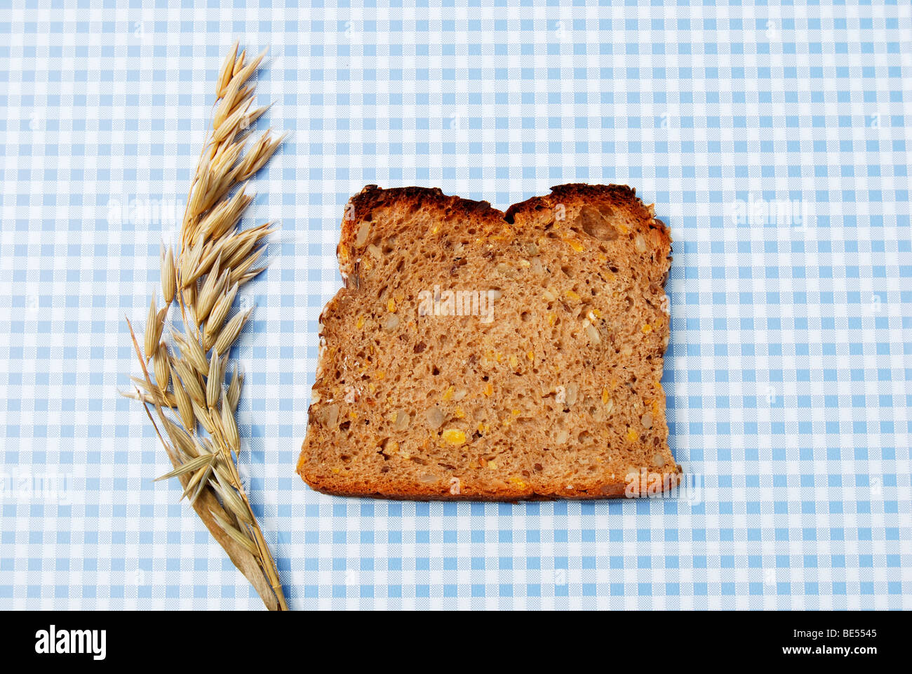 Single slice of bread, wholemeal bread with pumpkin and sunflower seeds on blue and white tablecloth, with oats Stock Photo