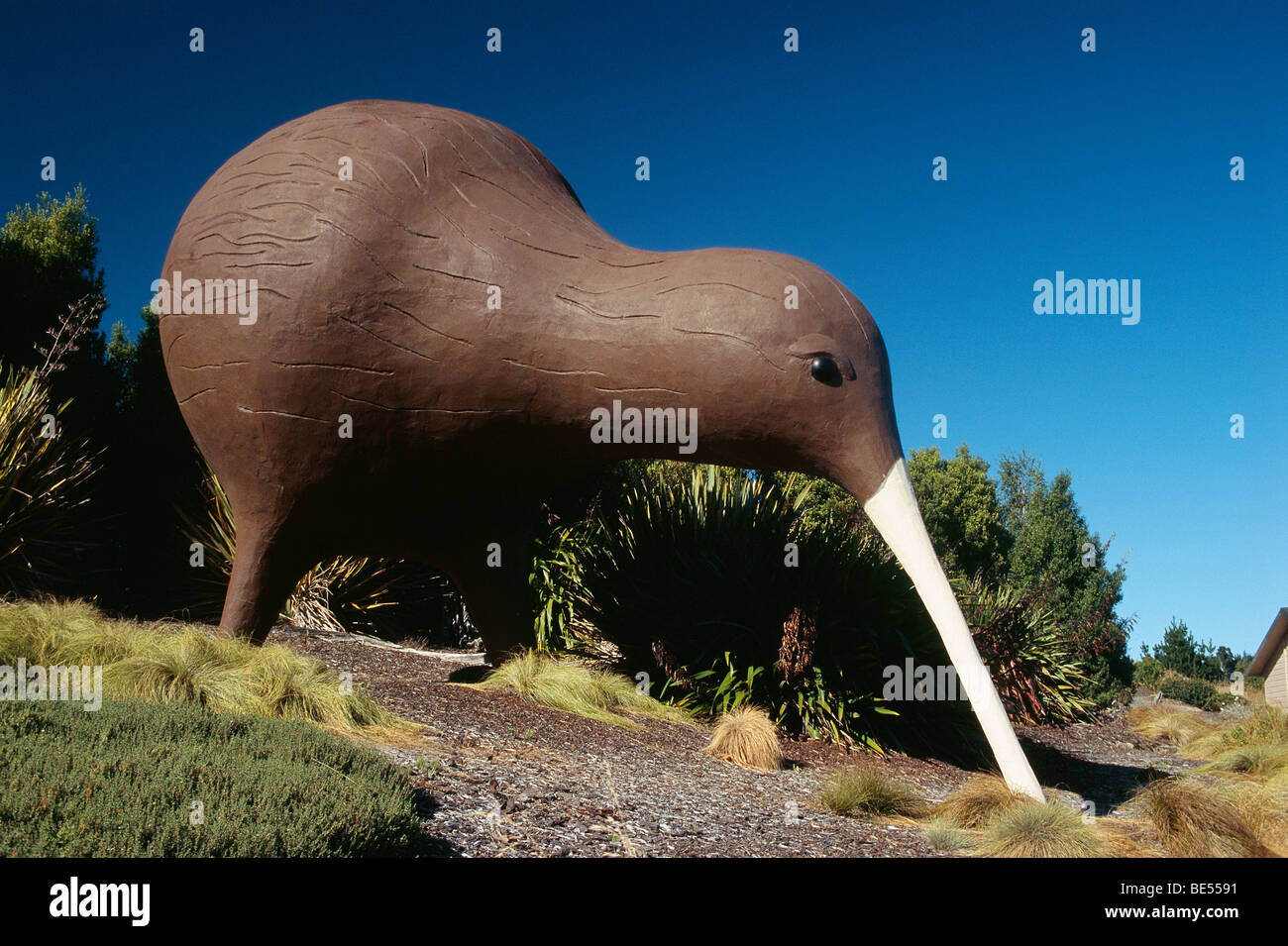 Kiwi statue hires stock photography and images Alamy