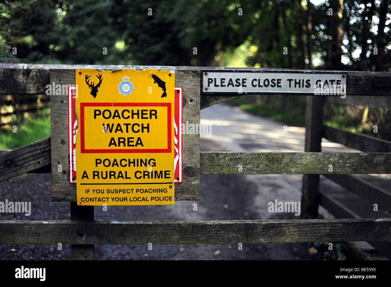 Poacher Watch Area sign in woods next to Lake Windemere in The Lake District in Cumbria UK Lake District poachers Stock Photo