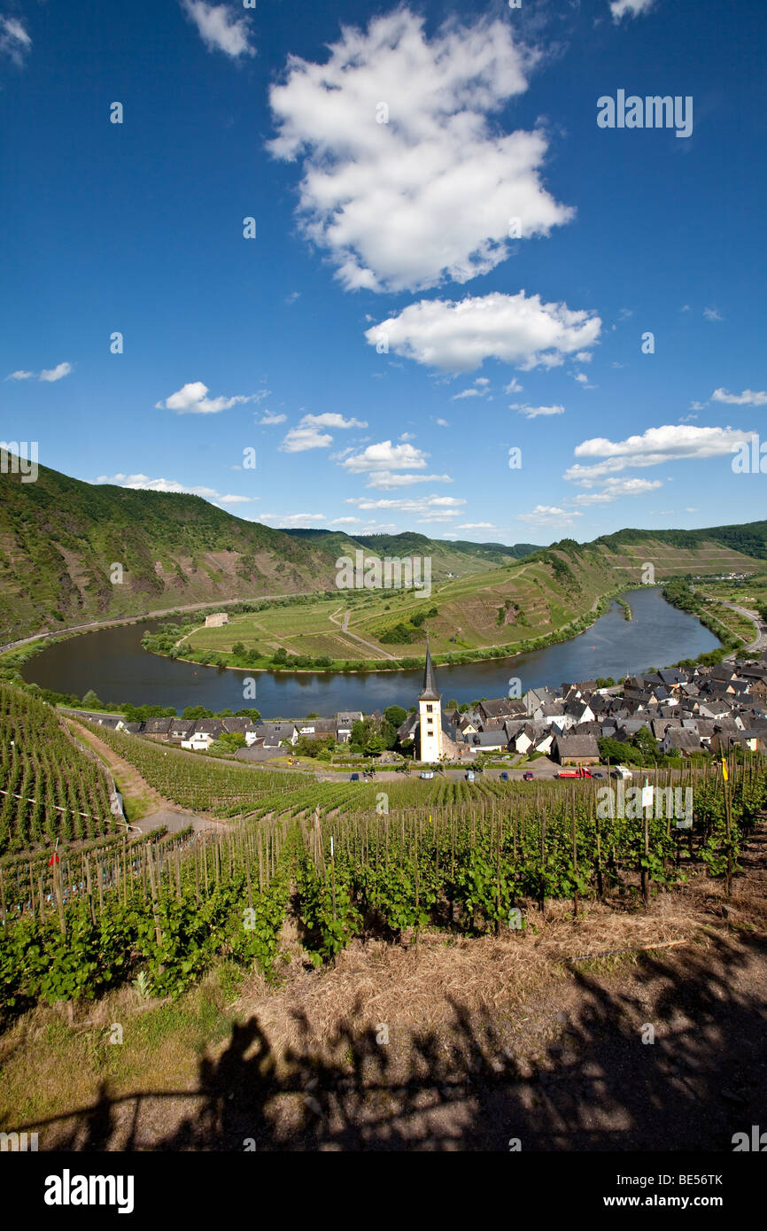 View on to the Moselle River loop near the town of Bremm, district of Cochem-Zell, Moselle, Rhineland-Palatinate, Germany, Euro Stock Photo