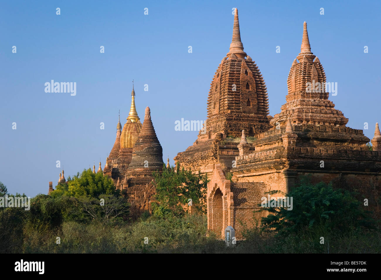 Pagoda, temple, Zedi, Old Bagan, Pagan, Burma, Myanmar, Asia Stock Photo