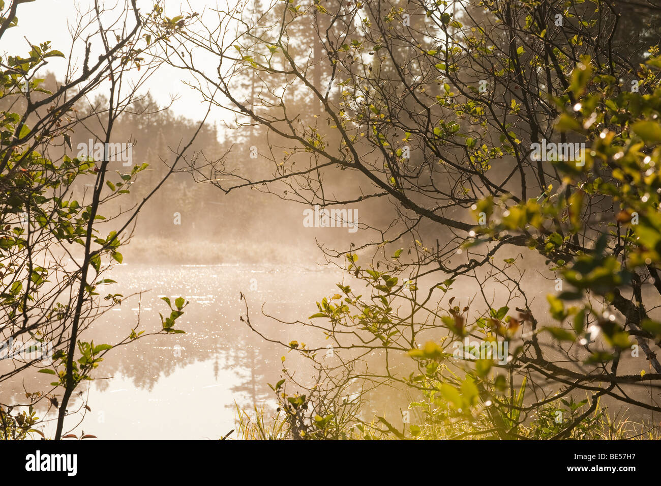 Steam rising from pond hires stock photography and images Alamy