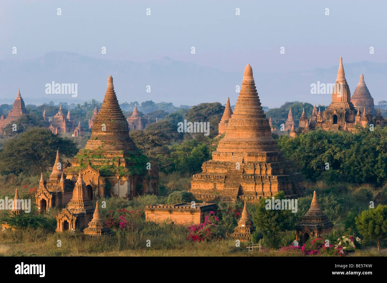 Pagoda field, temples, Zedi, Old Bagan, Pagan, Burma, Myanmar, Asia Stock Photo