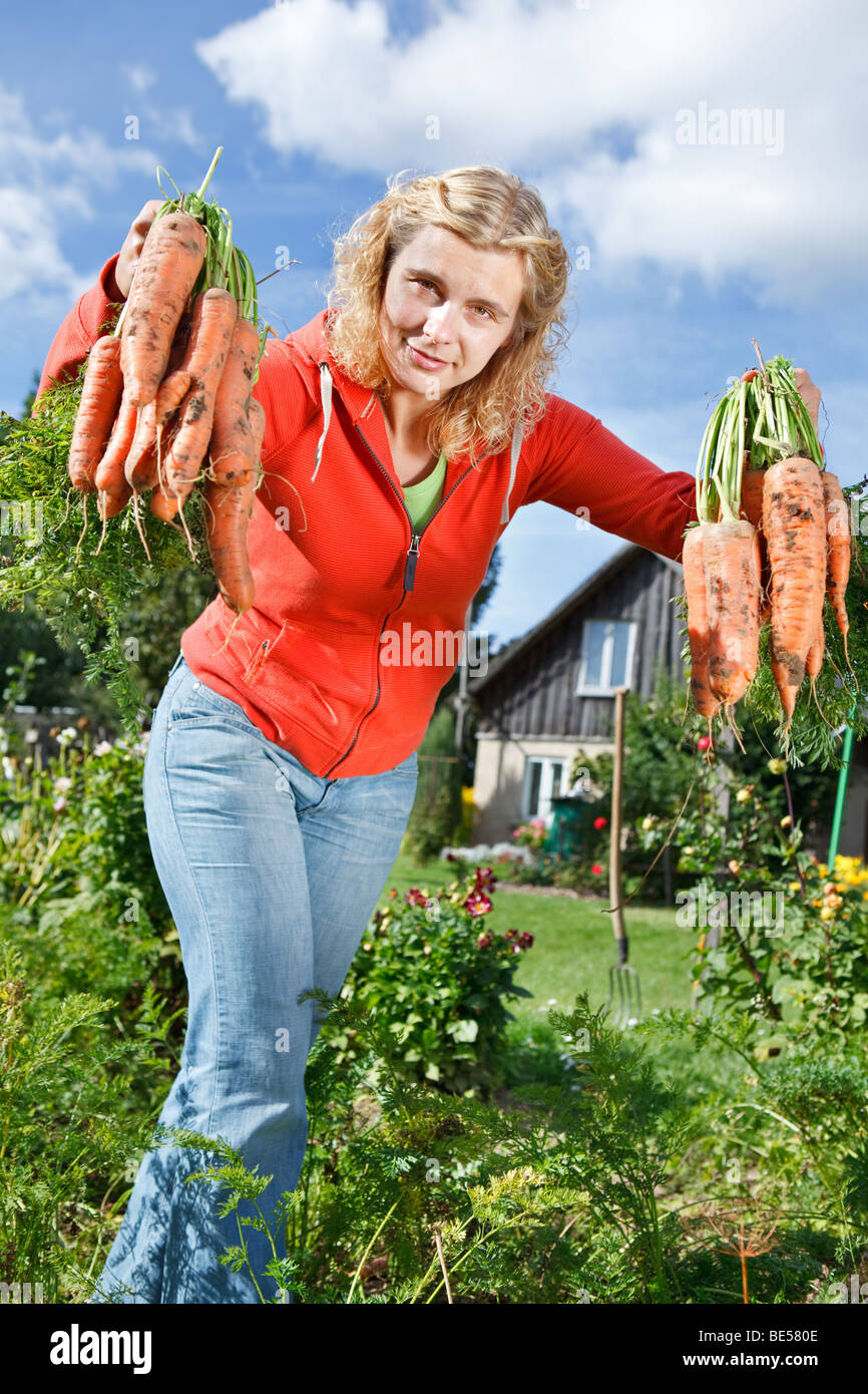 Woman picking organic carrots from her own vegetable garden Stock Photo