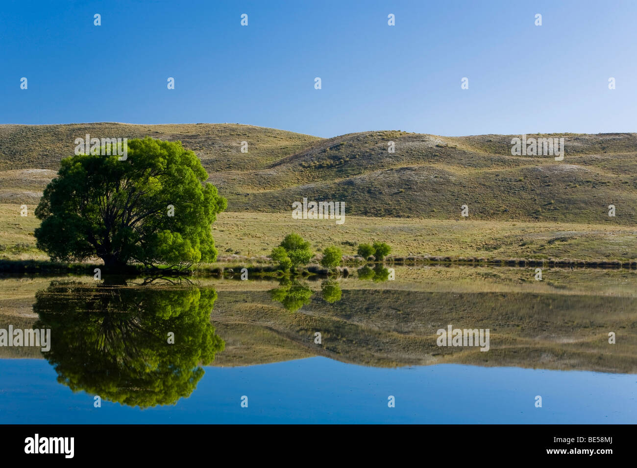 Water reflections of trees and hills on a lake, Hakatere, South Island, New Zealand Stock Photo