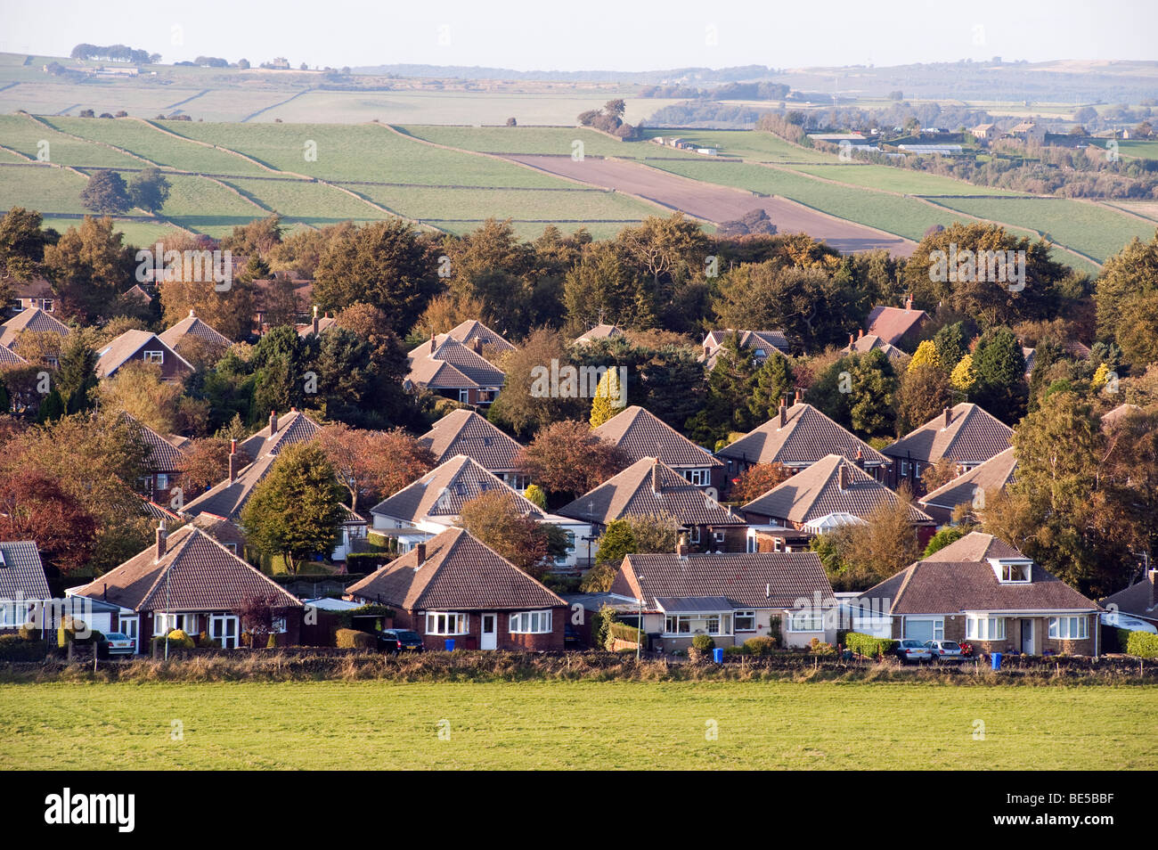 Bungalows situated on the edge of the 'Green Belt' at 'Lodge Moor' in Sheffield Stock Photo