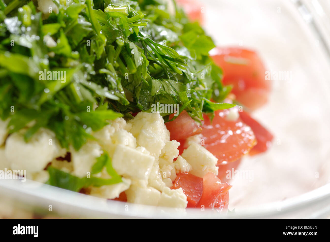 Closeup of a traditional bulgarian shopska salad Stock Photo Alamy