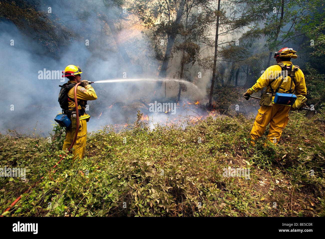 Wildland firefighters at California Lockheed wildfire in Santa Cruz Mountains. CALFIRE/CDF Stock Photo