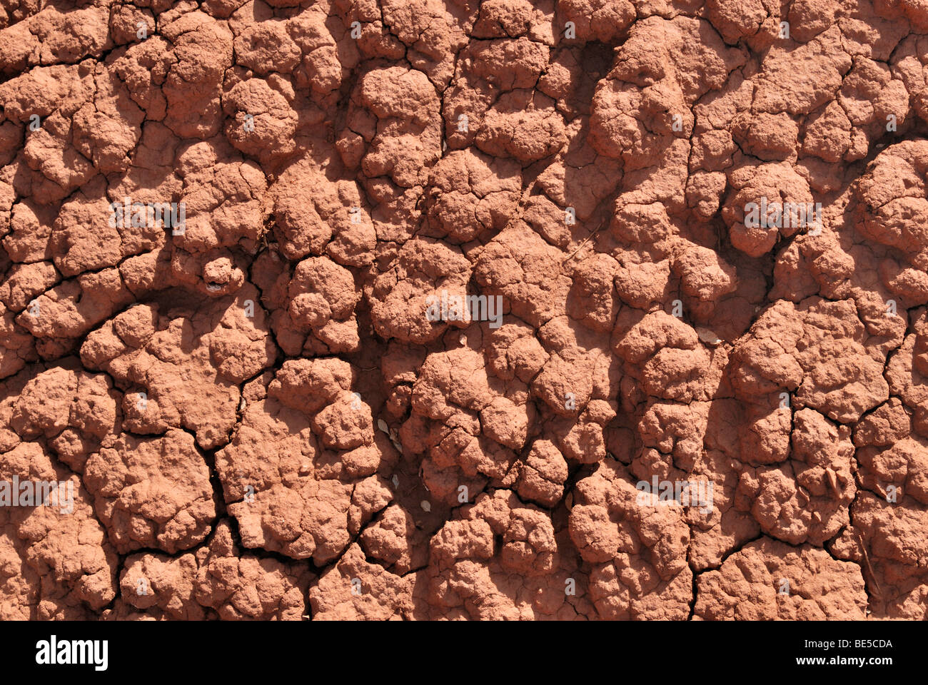 Structure in a dried up mud puddle, detail, Capitol Reef National Park, Utah, USA Stock Photo
