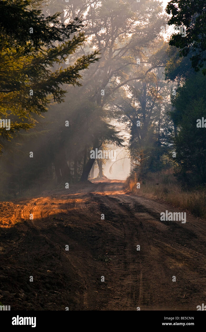 California Lockheed wildfire in Santa Cruz Mountains. CALFIRE/CDF ...