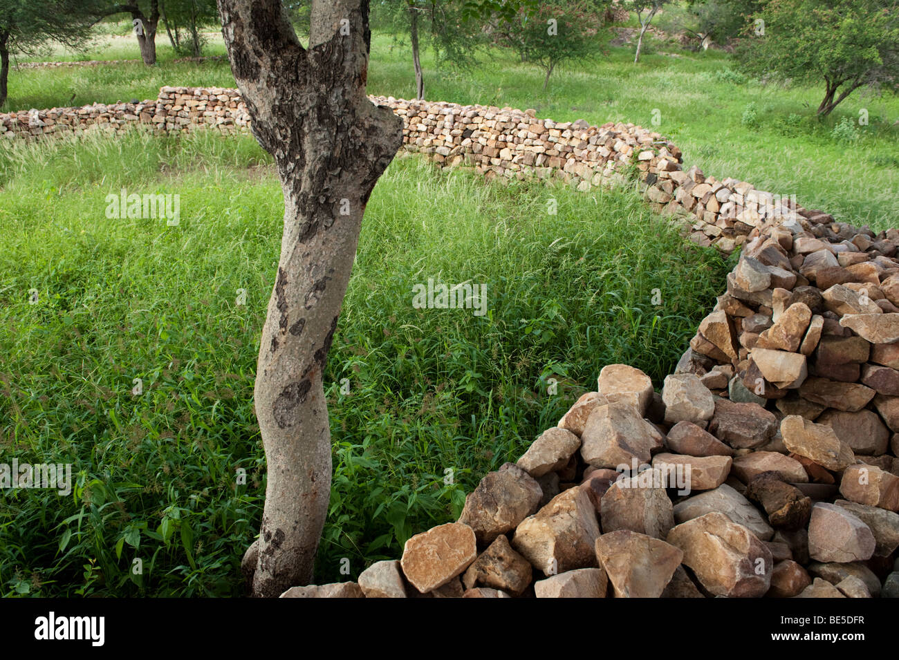 Thulamela archaeological site, Kruger National Park, South Africa Stock